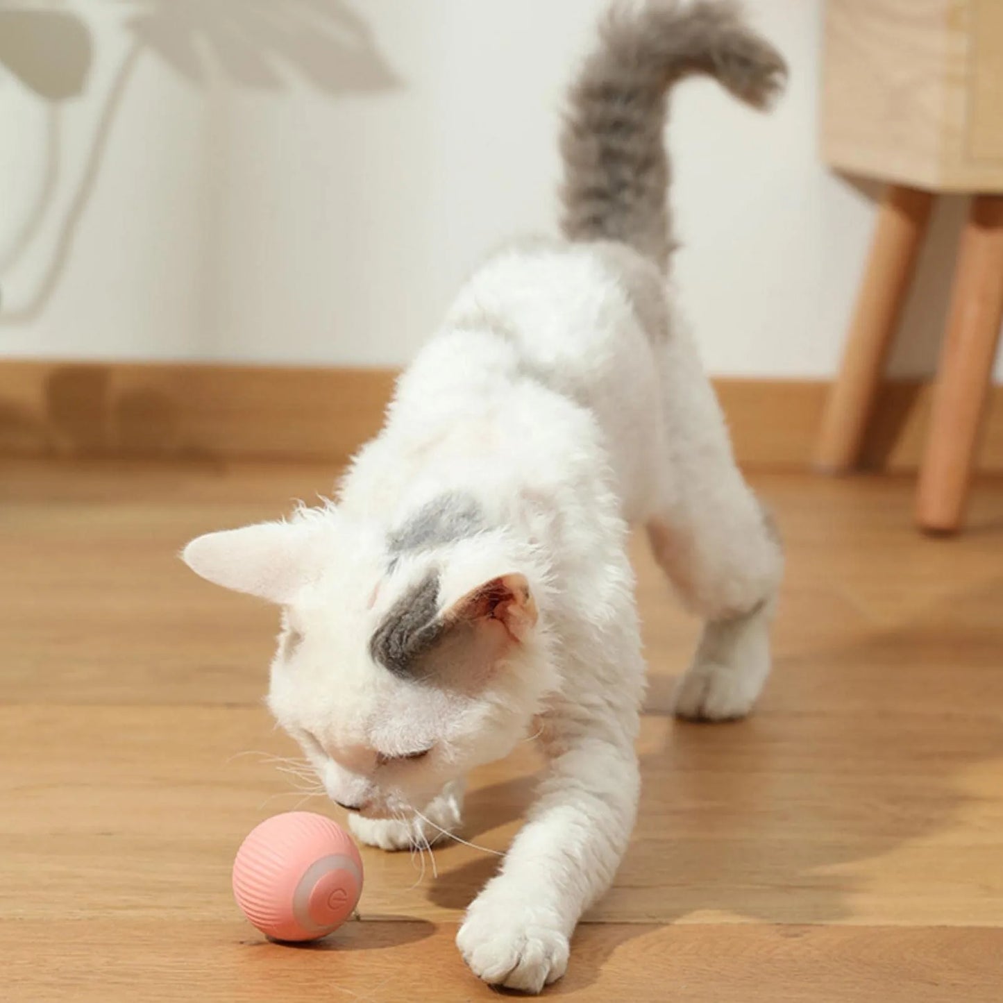 Smart Cat Rolling Ball Toys